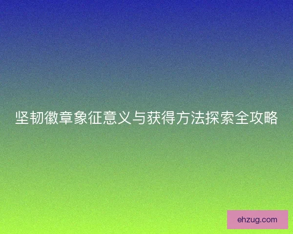 坚韧徽章象征意义与获得方法探索全攻略