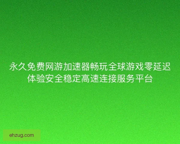 永久免费网游加速器畅玩全球游戏零延迟体验安全稳定高速连接服务平台