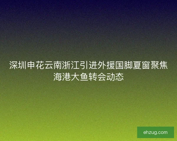 深圳申花云南浙江引进外援国脚夏窗聚焦海港大鱼转会动态